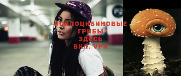 apvp Абинск