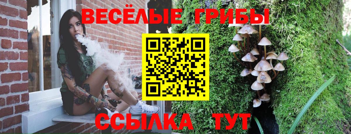 Псилоцибиновые грибы Magic Shrooms Миллерово