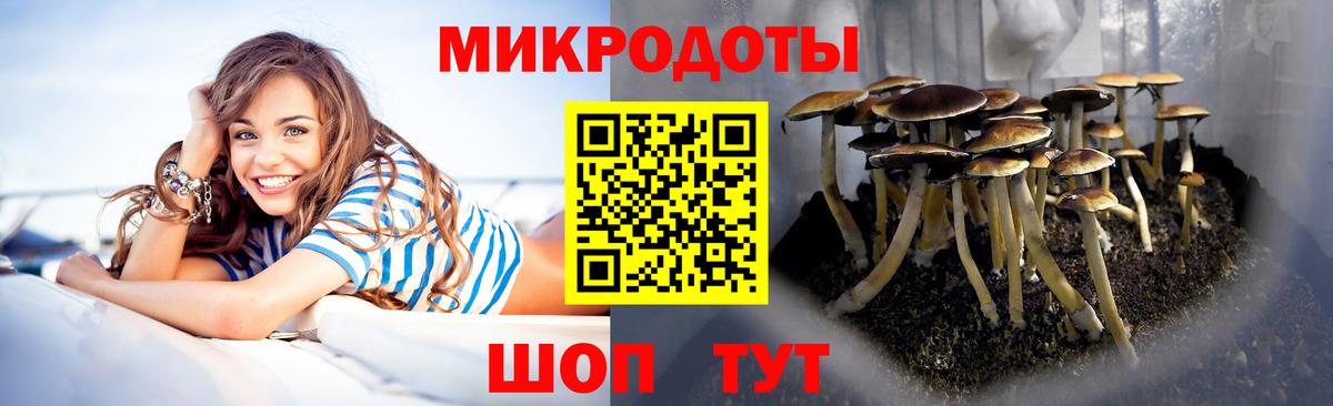 Миллерово  Псилоцибиновые грибы Psilocybe  Вход с VPN 